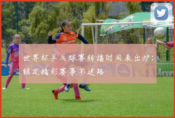 世界杯乒乓球赛转播时间表出炉：锁定精彩赛事不迷路