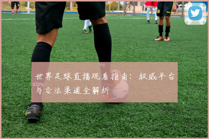 世界足球直播观看指南:权威平台与合法渠道全解析