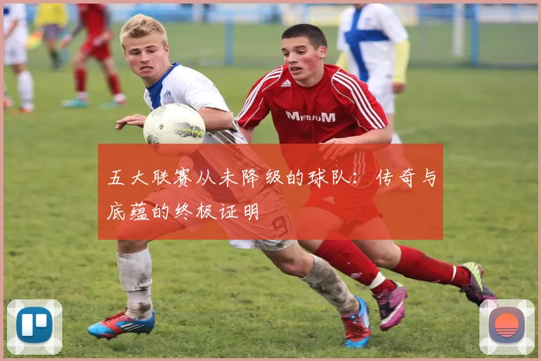 五大联赛从未降级的球队:传奇与底蕴的终极证明