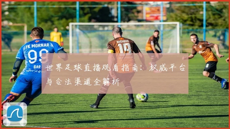 世界足球直播观看指南：权威平台与合法渠道全解析